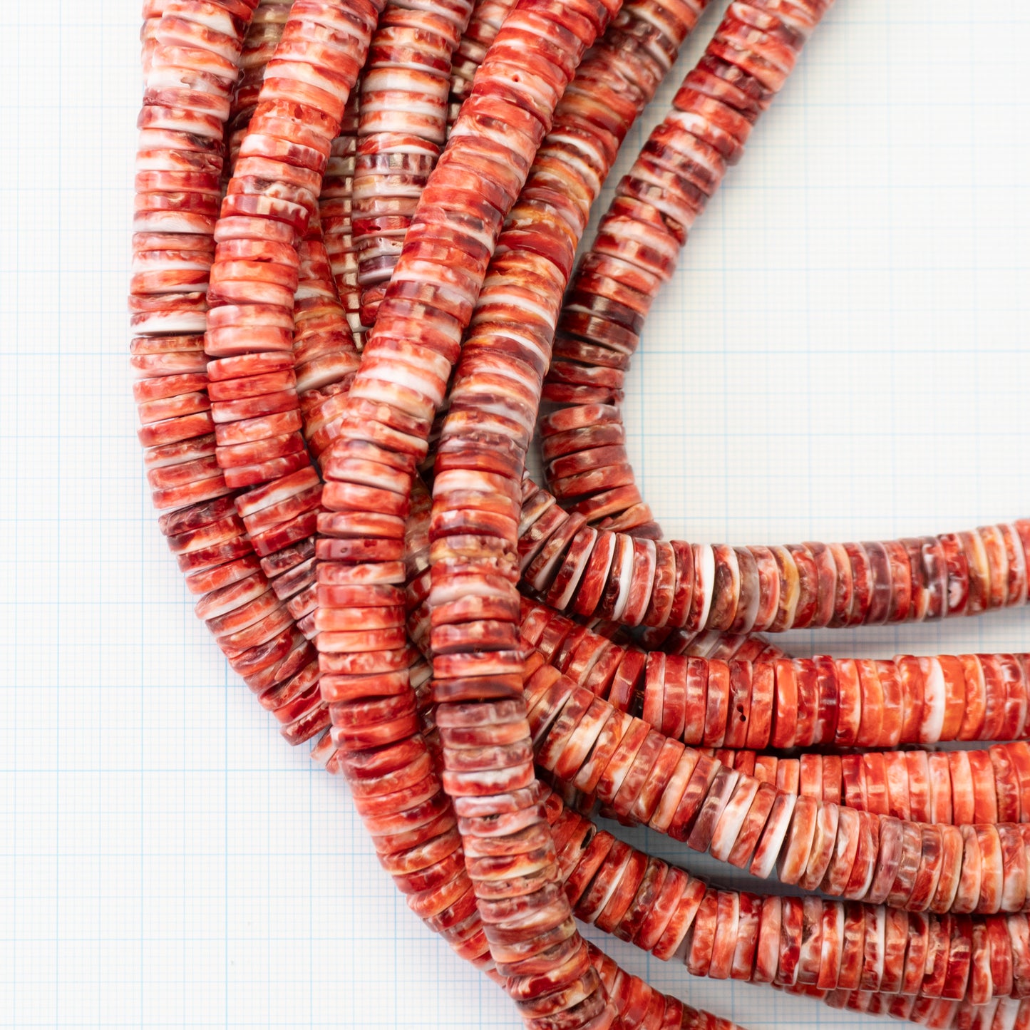 スパイニーオイスター ロンデル赤10mm40cm【N2402-A13】