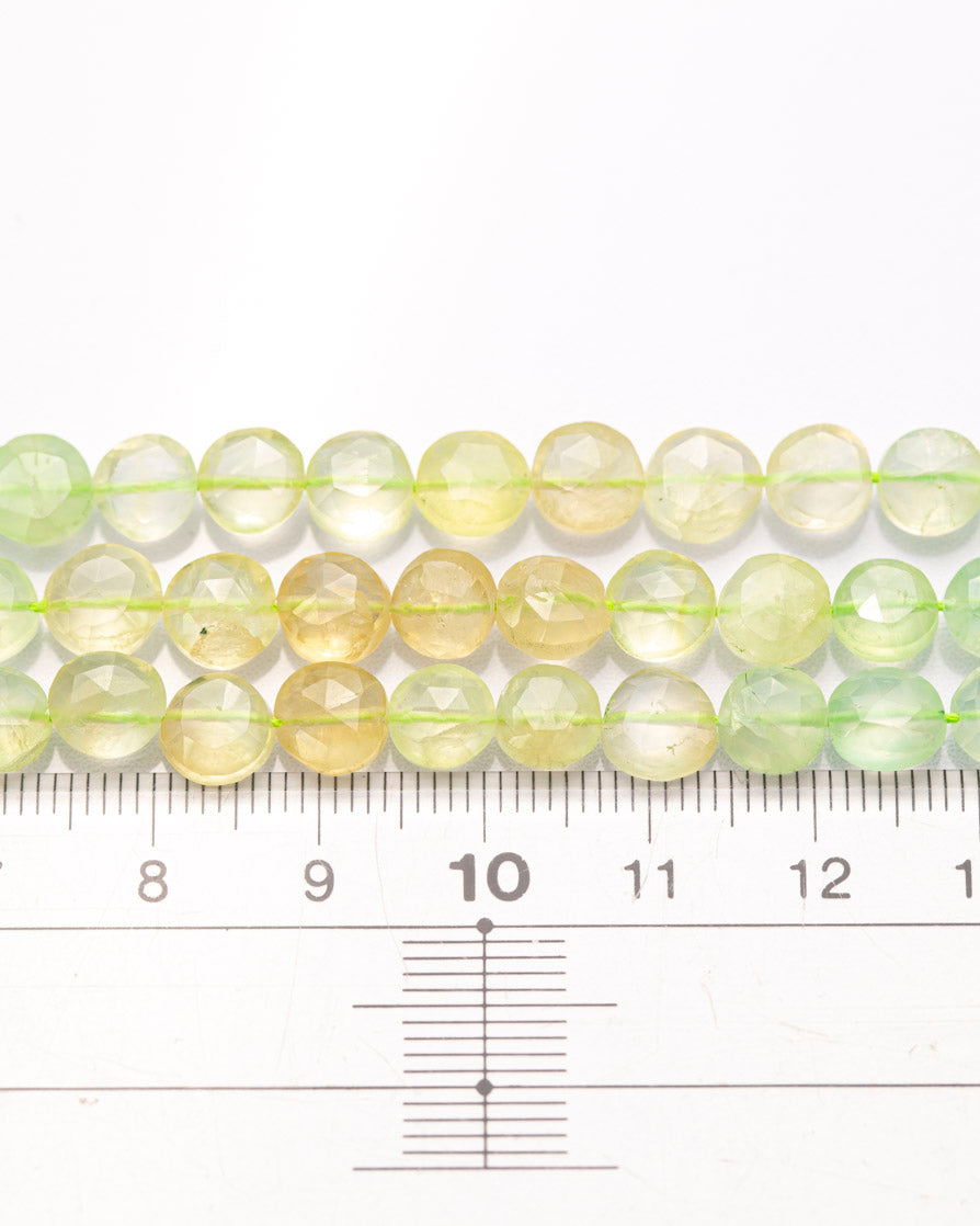 プレナイト コインカット 6.5mm(±1mm)【1063】