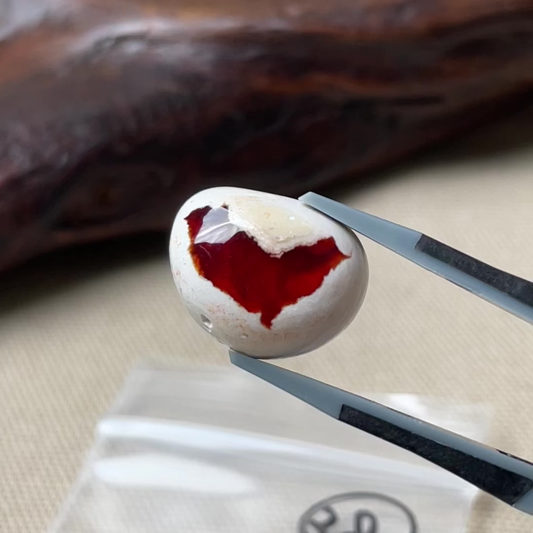 カンテラオパール【No.38】 – 有限会社ラトウナサガル